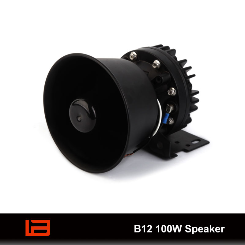 B12 100W Speaker