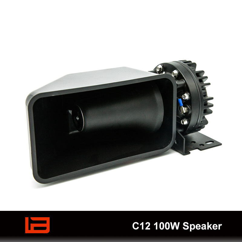 C12 100W Speaker
